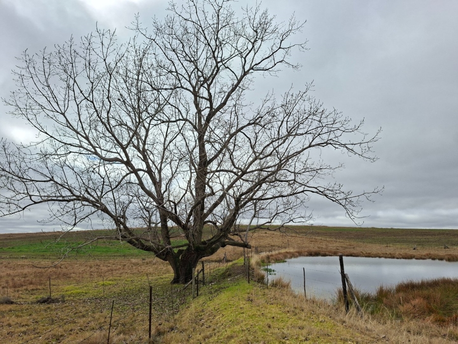 Commercial Property for Sale in Bethlehem Rural Free State